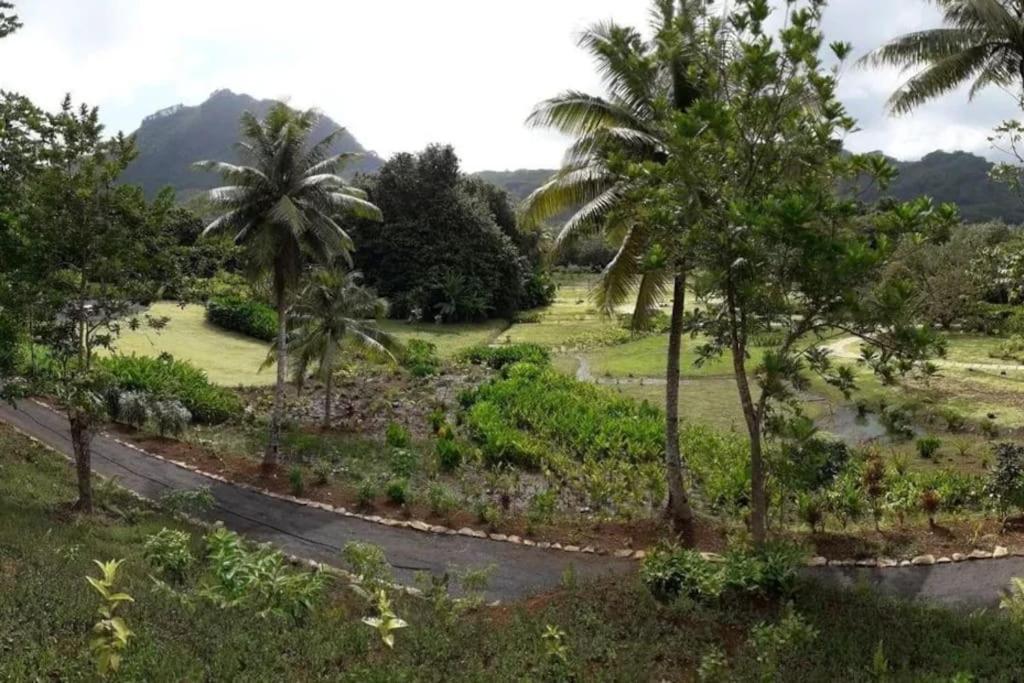 Duplex En Bord De Mer Fare Tahitea Pension Taputapuapea Bagian luar foto