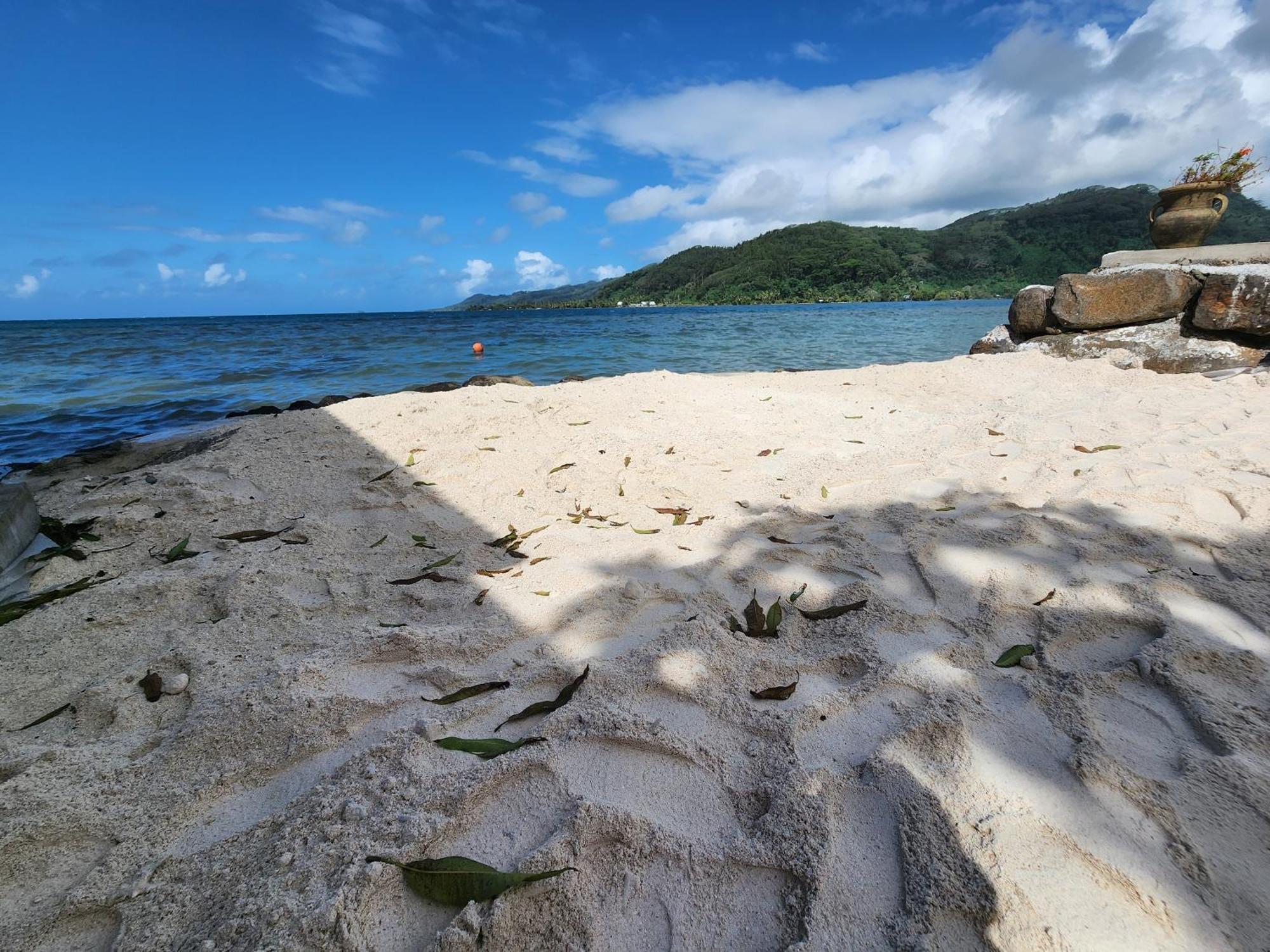 Duplex En Bord De Mer Fare Tahitea Pension Taputapuapea Bagian luar foto